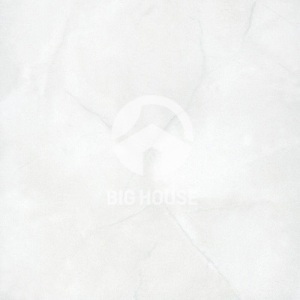 Gạch Đồng Tâm 2560NGOCTRAI001