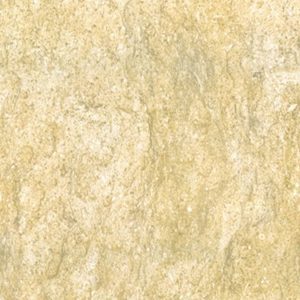 Gạch Đồng Tâm 30×60 FOSSIL001