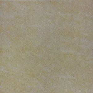 Gạch Đồng Tâm 50x50 NEWCASTLE