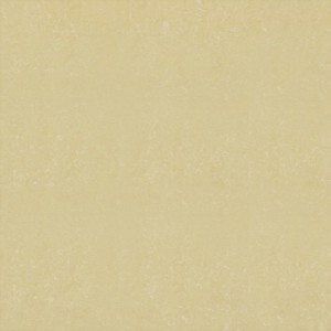 Gạch Đồng Tâm 60×60 DB006-NANO