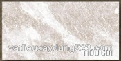 Gạch Eurotile 30×60 HOD G01