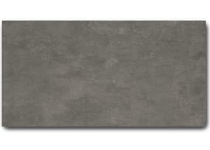 Gạch Eurotile 30×60 THD-G04