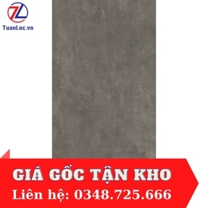 Gạch Eurotile 30×60 THD-G04