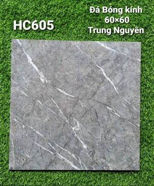 Gạch giả gỗ 60x60 HC605