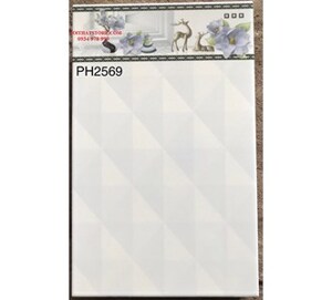 Gạch 25x40 PH2569