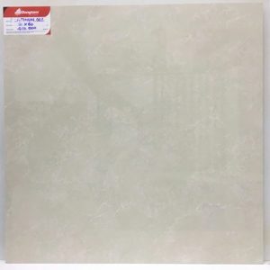 Gạch Granite 60x60cm PLATINUM001