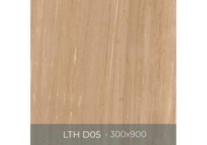 Gạch granite Eurotile Lưu Thủy LTH D05