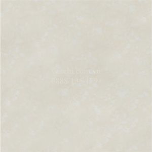 Gạch Granite lát nền Đồng Tâm 6060PLATINUM003 - 60x60