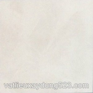 Gạch Granite lát sàn HS60001 (60x60)