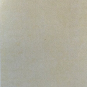 Gạch Granite lát sàn - MSV6007 (60×60)