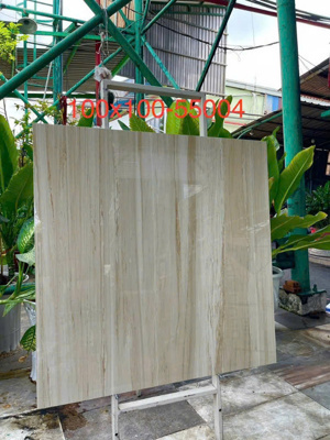 Gạch Hoàn Mỹ 100x100 vi tinh 55004