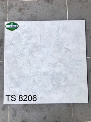 Gạch lát 80x80 Tasa 8206