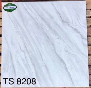 Gạch lát 80x80 Tasa 8208