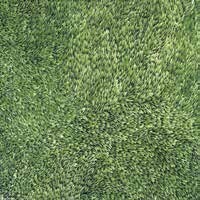 Gạch lát Đồng Tâm – 4040GRASS001 (40×40)