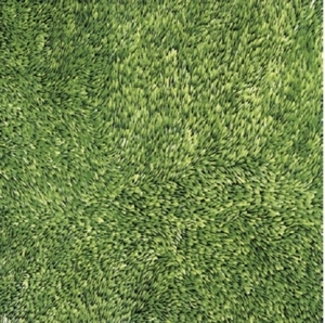 Gạch lát Đồng Tâm – 4040GRASS001 (40×40)