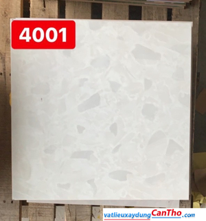 Gạch lát nền 40×40 PAK 4001