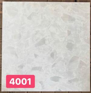 Gạch lát nền 40×40 PAK 4001