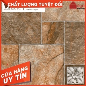 Gạch lát nền 50×50 Vitto 3794