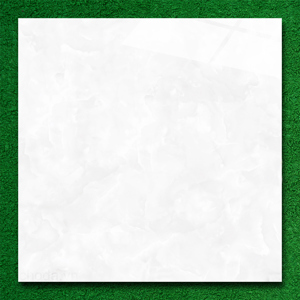 Gạch lát nền 60×60 TTC Ceramic CN66017