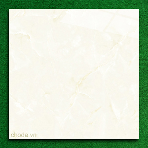 Gạch lát nền 60×60 TTC Ceramic CN66010