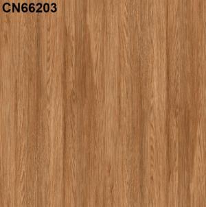 Gạch lát nền 60×60 TTC Ceramic CN66203