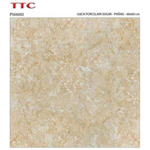 Gạch lát nền 60×60 TTC Ceramic PS66002