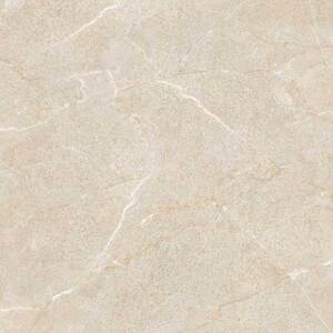 Gạch lát nền 60×60 TTC Ceramic PS66003