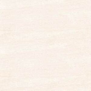 Gạch lát nền 60×60 TTC Ceramic CS66004