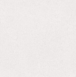 Gạch lát nền 60×60 TTC Ceramic PS66006