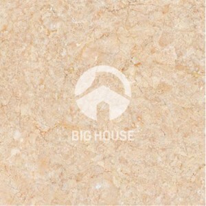 Gạch lát nền 60×60 TTC PN66034