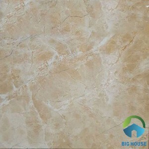 Gạch lát nền 60×60 Viglacera TB-602