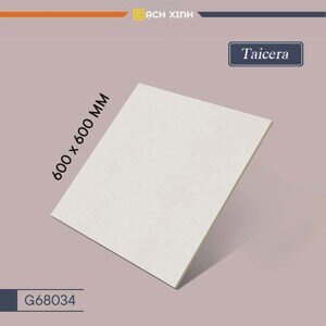 Gạch lát nền 60x60 Taicera G68034