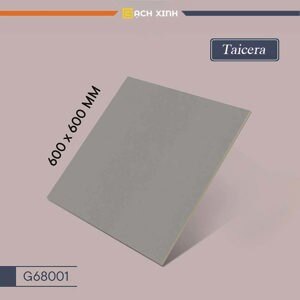 Gạch lát nền 60x60 Taicera G68001