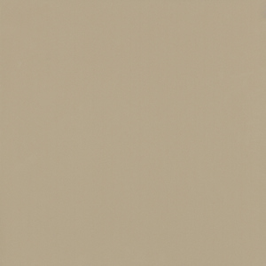 Gạch lát nền 800x800 Viglacera TS6-802