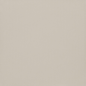 Gạch lát nền 800x800 Viglacera TS5-801