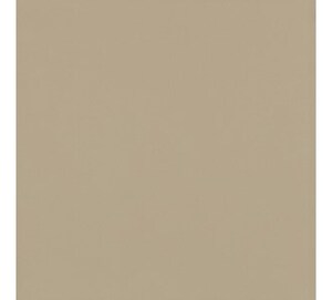 Gạch lát nền 800x800 Viglacera TS6-802