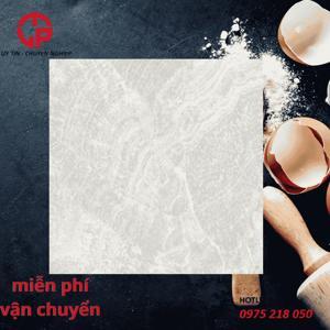 Gạch lát nền 80×80 KIS K80016-PA