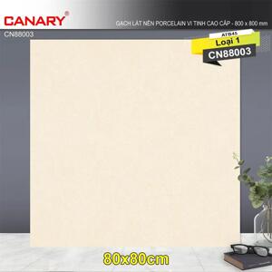 Gạch lát nền 80×80 TTC Ceramic CN88003