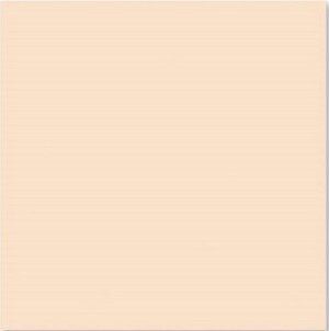 Gạch lát nền Bạch Mã HG4000 - 40x40