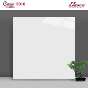 Gạch lát nền Catalan 6010 - 60x60