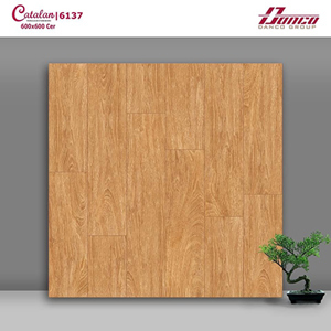 Gạch lát nền Catalan 60x60 6137