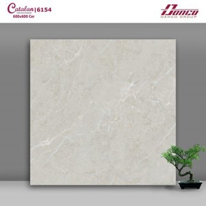 Gạch lát nền Catalan 60x60 6154