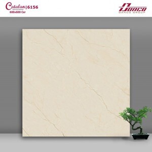 Gạch lát nền Catalan 60x60 6156