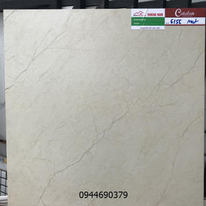 Gạch lát nền Catalan 60x60 6156