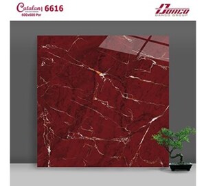 Gạch lát nền Catalan 60x60 6616