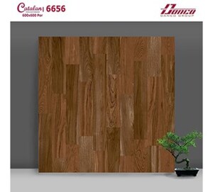 Gạch lát nền Catalan 6656 - 60x60