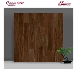 Gạch lát nền Catalan 6657 - 60x60
