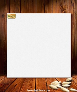 Gạch lát nền Catalan 6662 - 60x60