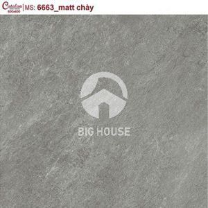 Gạch lát nền Catalan 6663 - 60x60