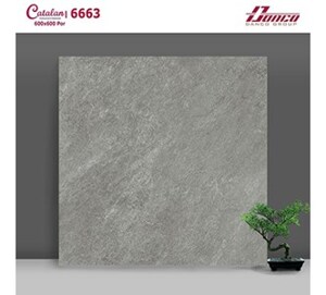 Gạch lát nền Catalan 6663 - 60x60